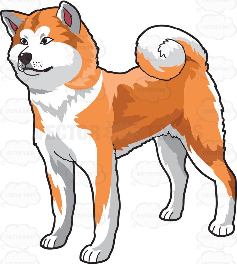 Akita Clipart at GetDrawings | Free download