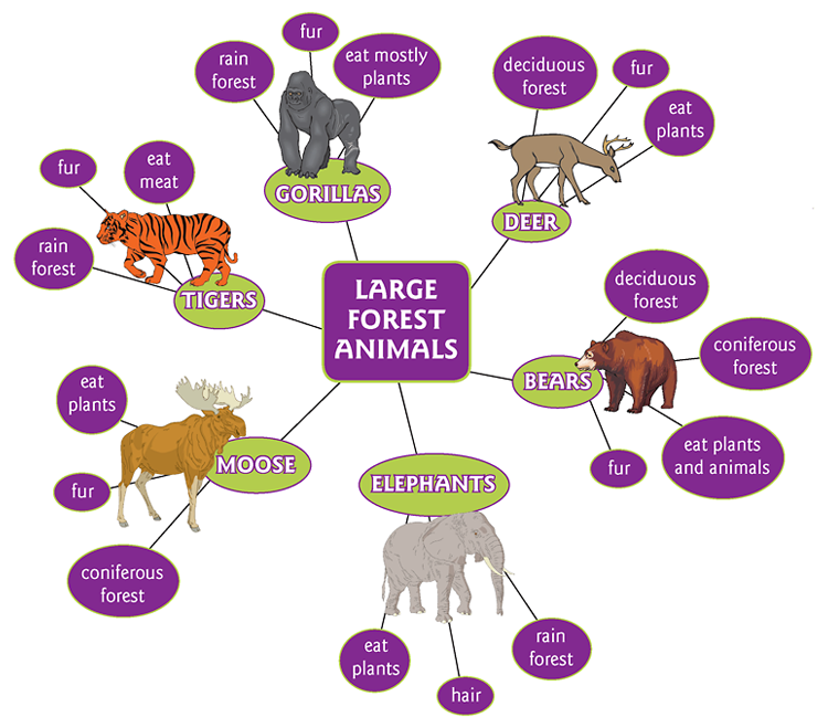 Animal Habitat Clipart At Getdrawings 