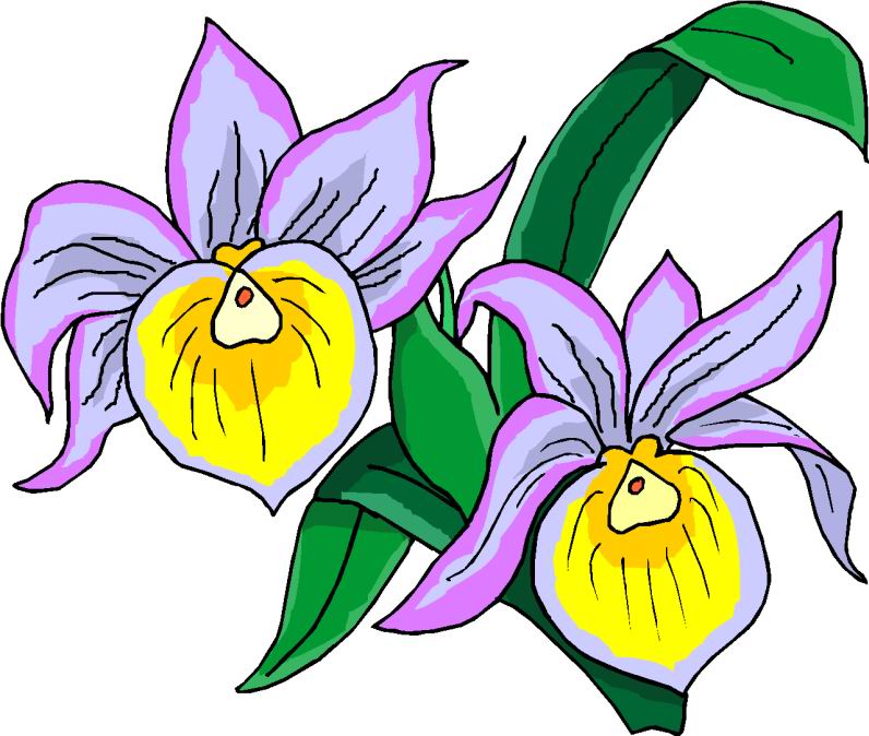 April Showers Bring May Flowers Clipart at GetDrawings