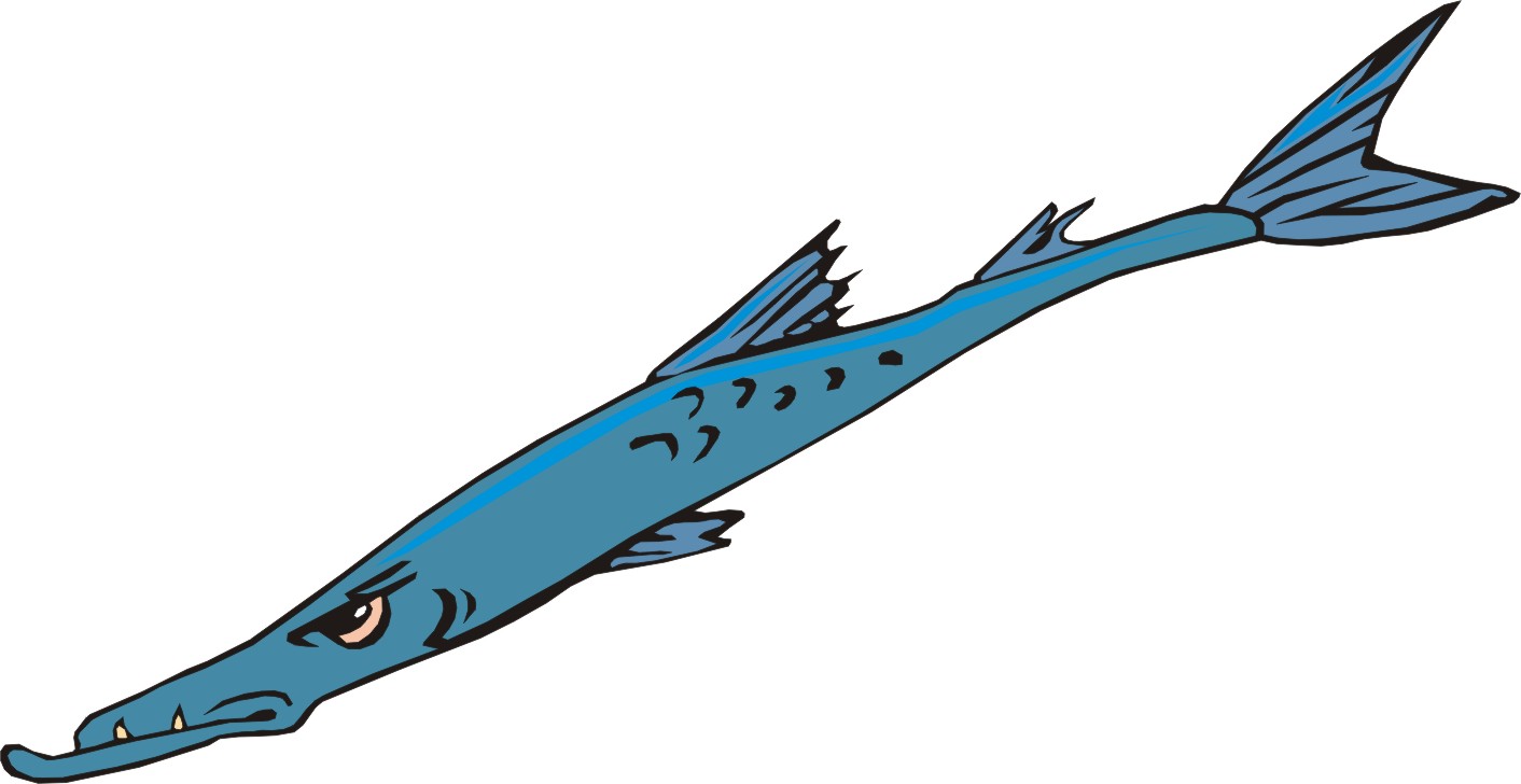 The best free Barracuda clipart images. Download from 17 free cliparts