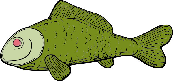 Bass Fish Clipart at GetDrawings | Free download