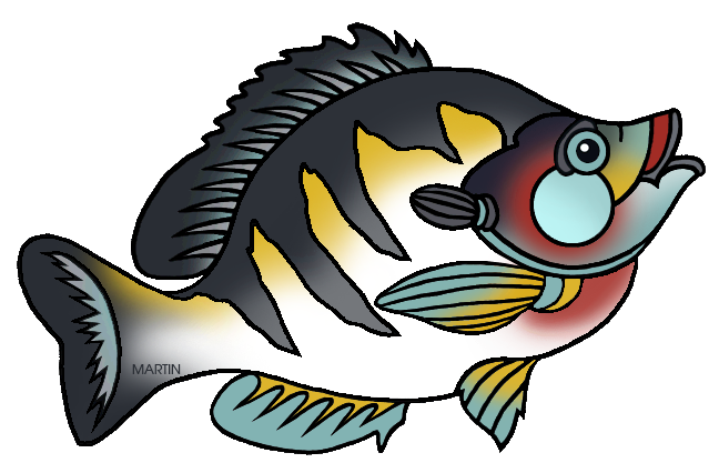 Bluegill Clipart At Getdrawings Free Download
