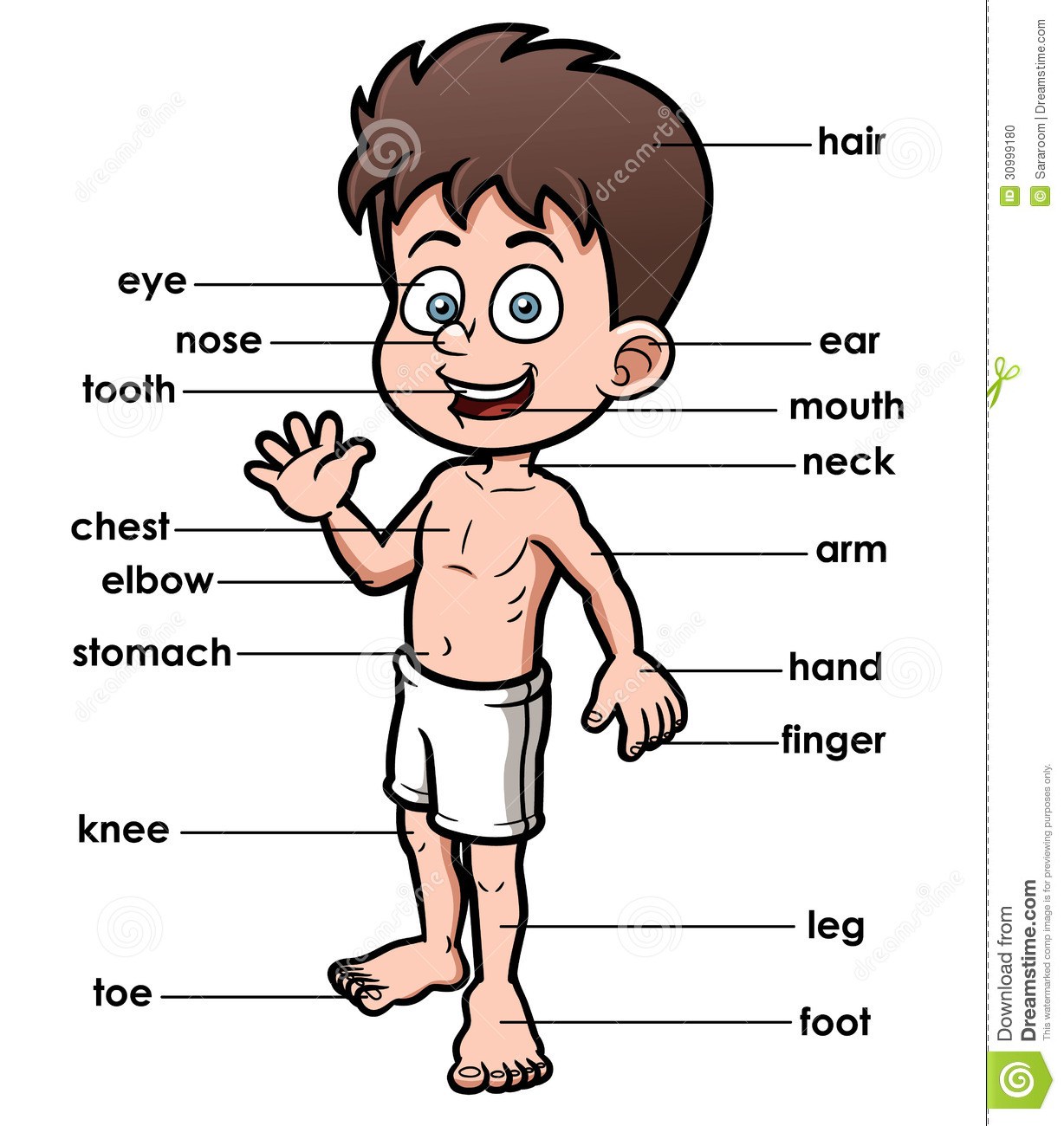 Body Parts Template
