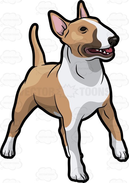 Bull Terrier Clipart at GetDrawings | Free download