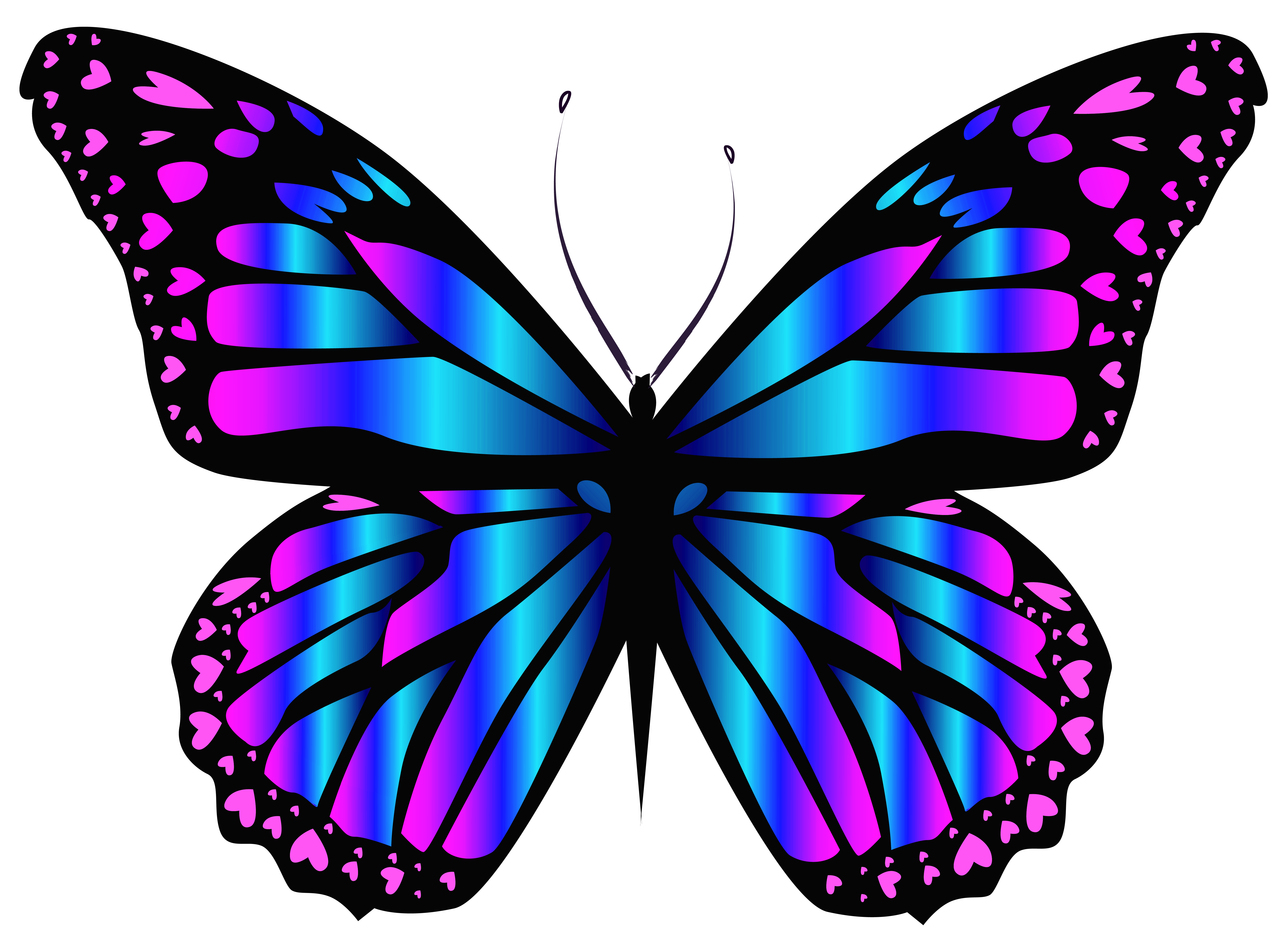 Butterfly Wings Clipart at GetDrawings | Free download