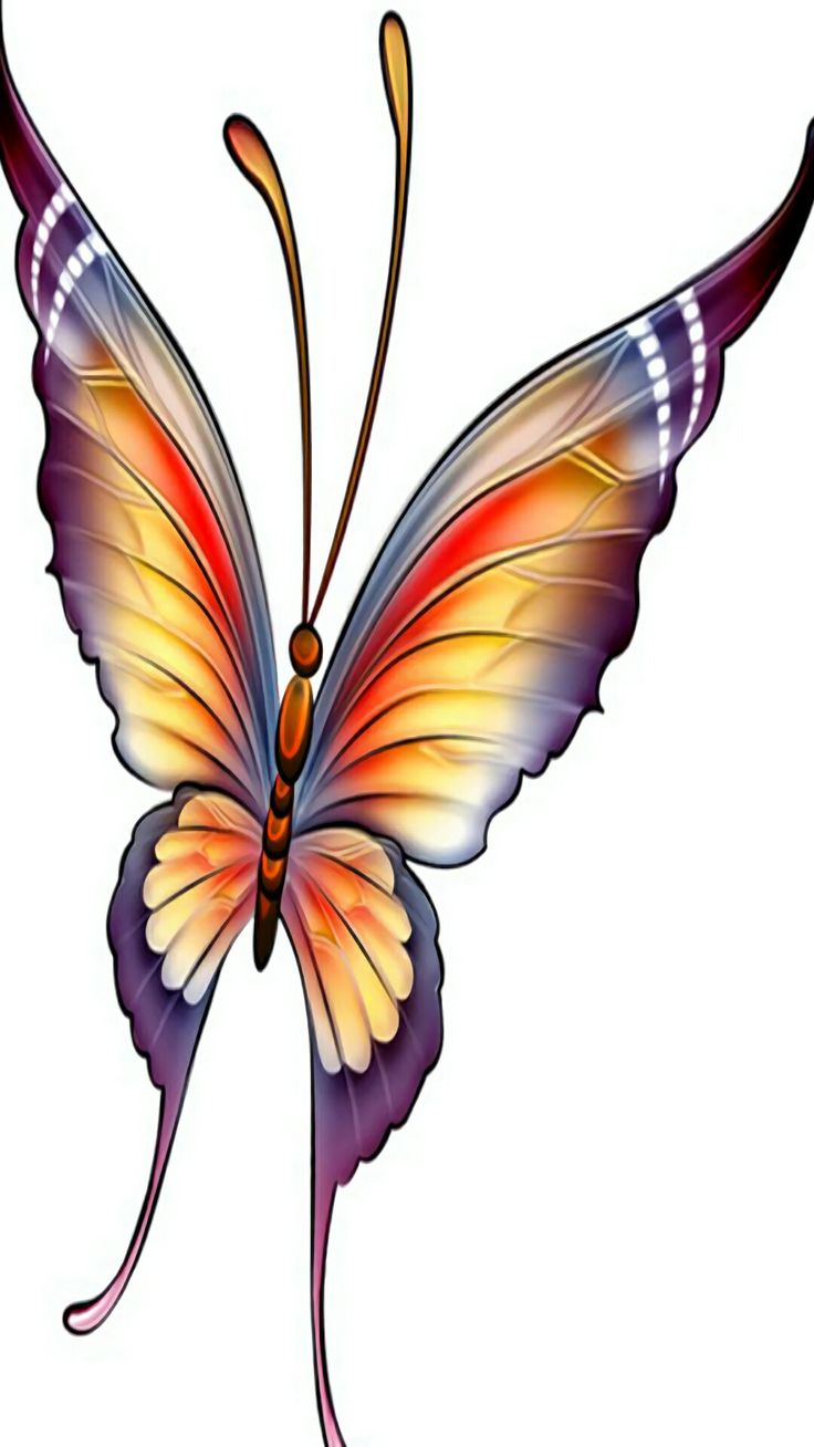 Butterfly Wings Clipart, Butterfly Wings Drawing | Free download on