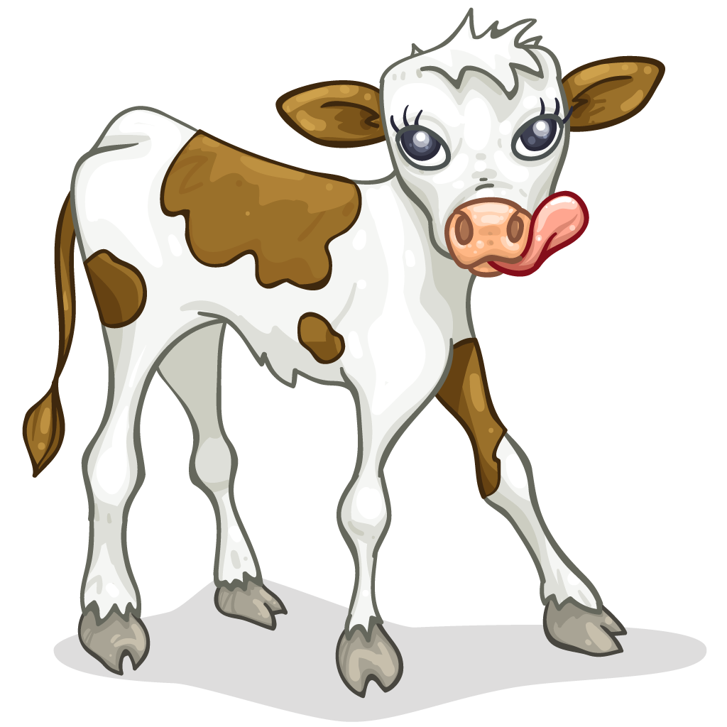 Calf Drawing at GetDrawings Free download