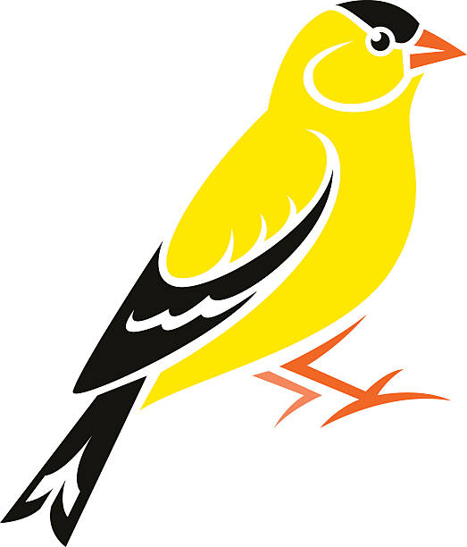 The Best Free Finch Clipart Images Download From 33 Free Cliparts Of