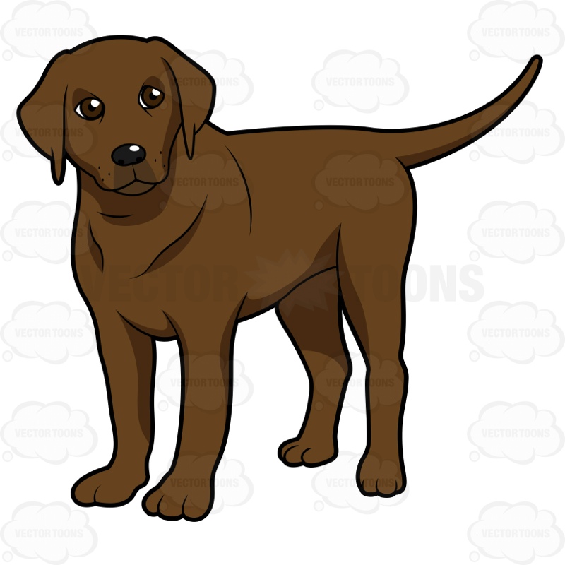 Chocolate Lab Clipart at GetDrawings | Free download