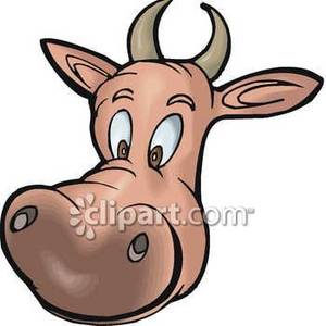 Cow Face Clipart at GetDrawings | Free download
