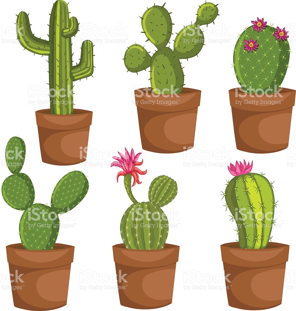 Desert Plants Clipart at GetDrawings | Free download