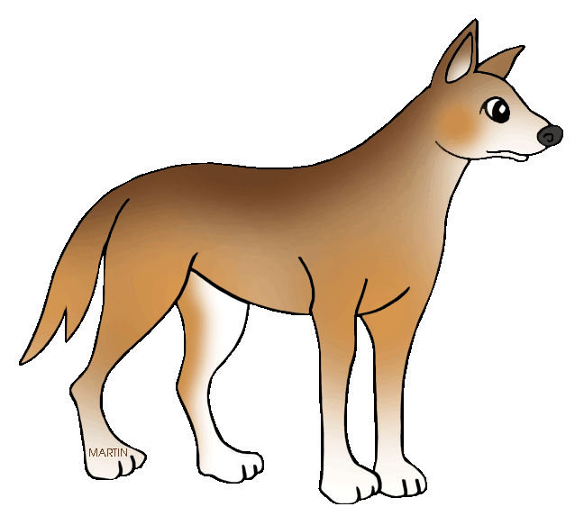 Dingo Drawing at GetDrawings | Free download