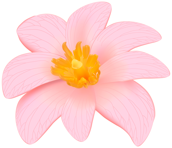 Exotic Flower Clipart at GetDrawings | Free download
