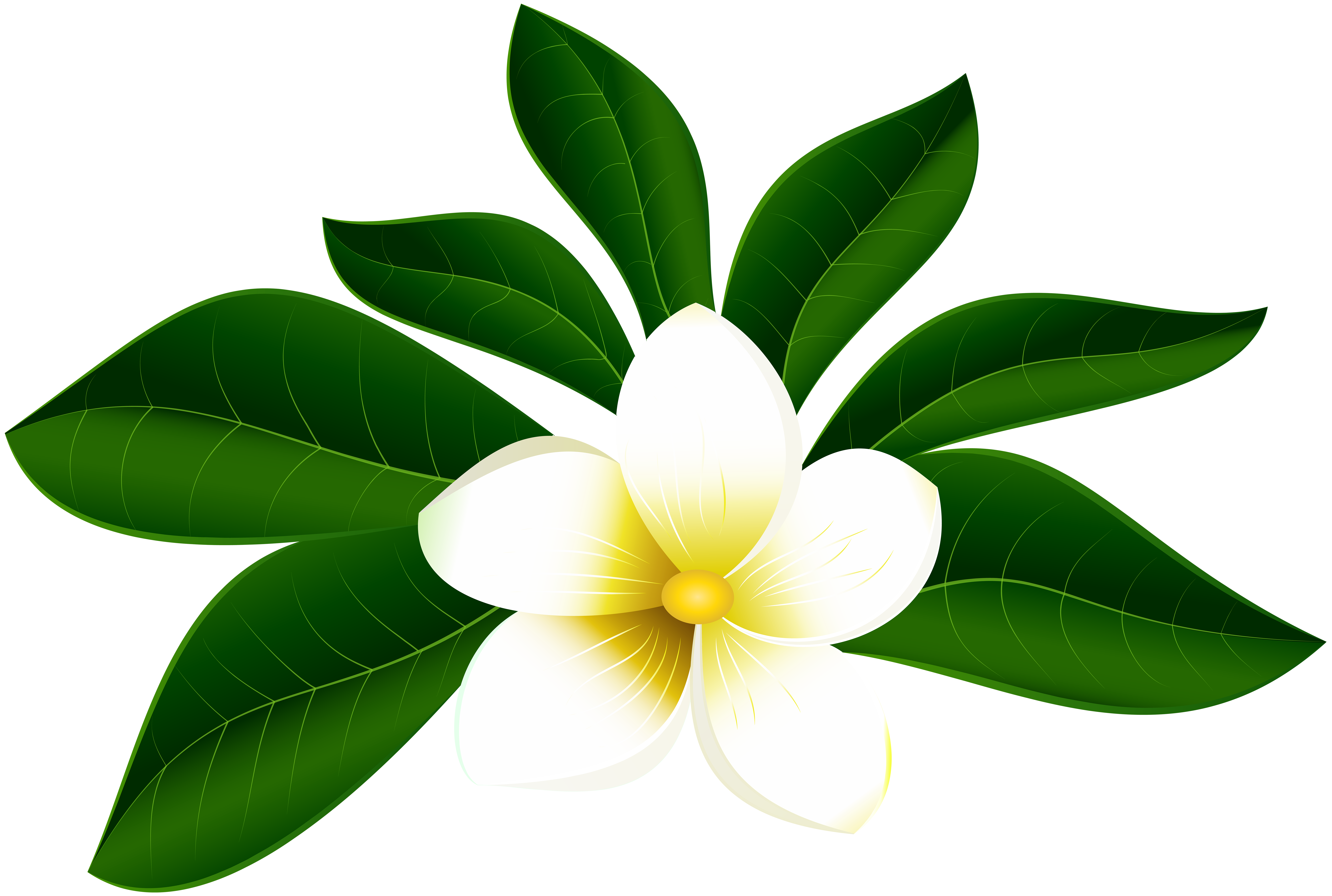 Exotic Flower Clipart at GetDrawings | Free download