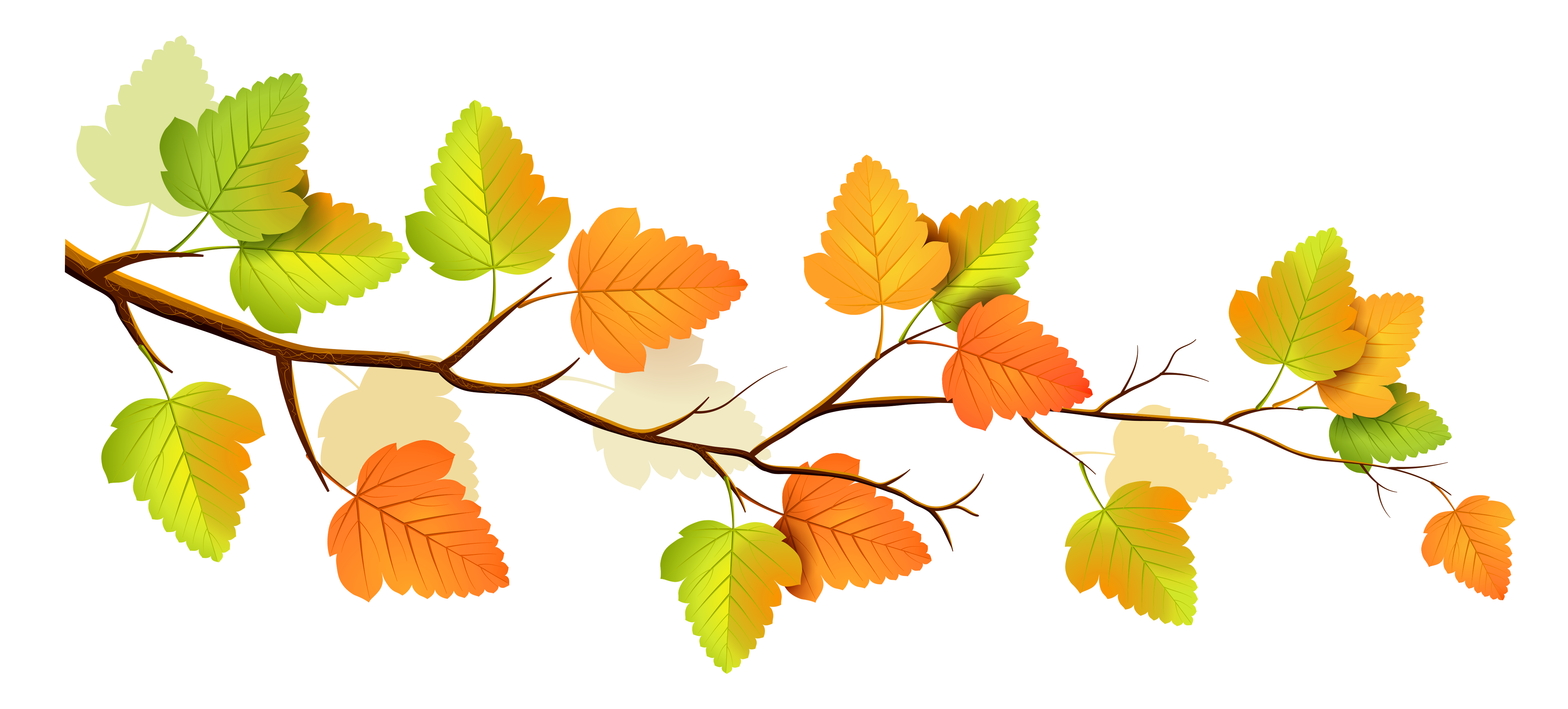 Fall Flowers Clipart at GetDrawings | Free download