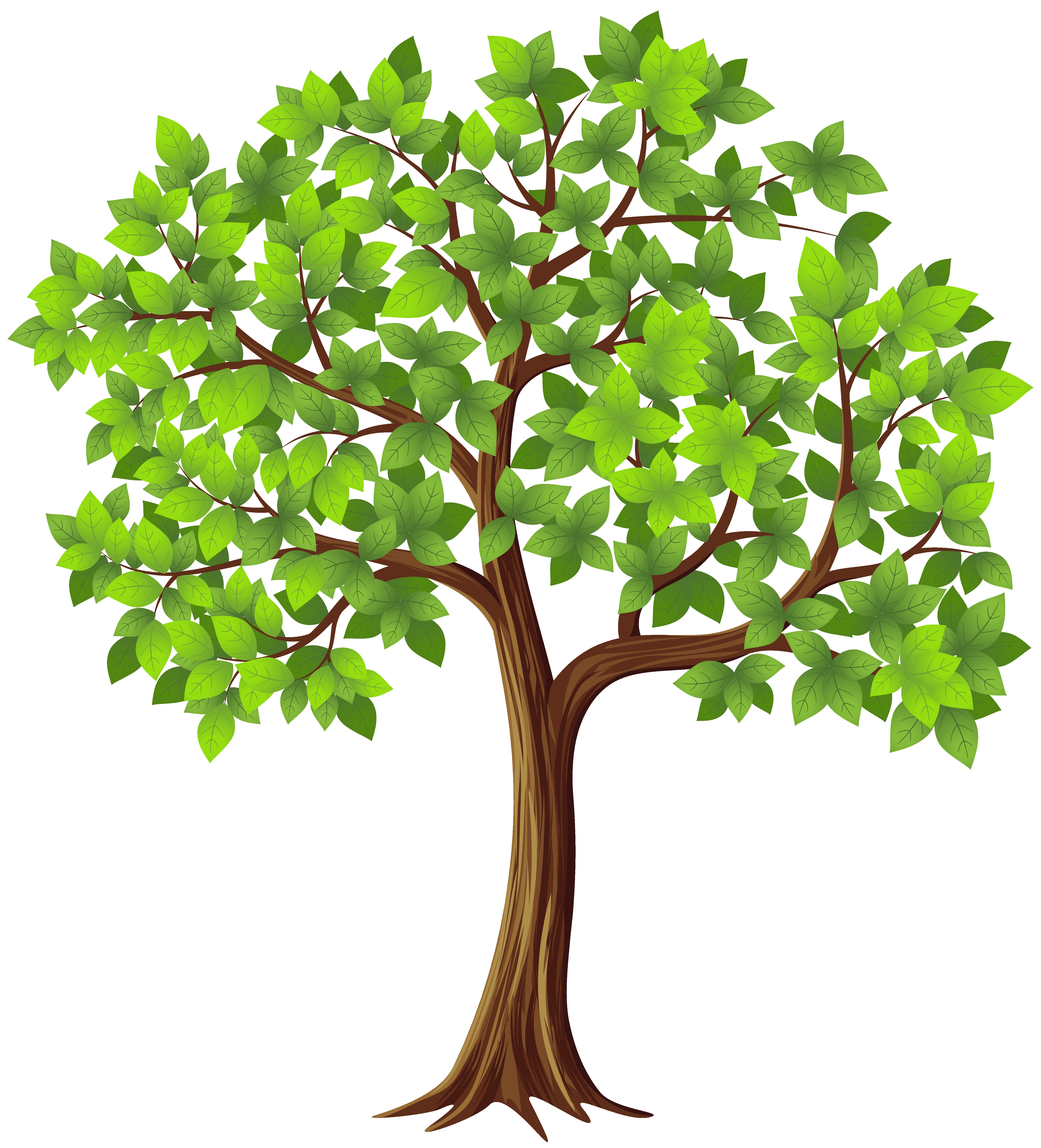 Fig Tree Clipart at GetDrawings Free download