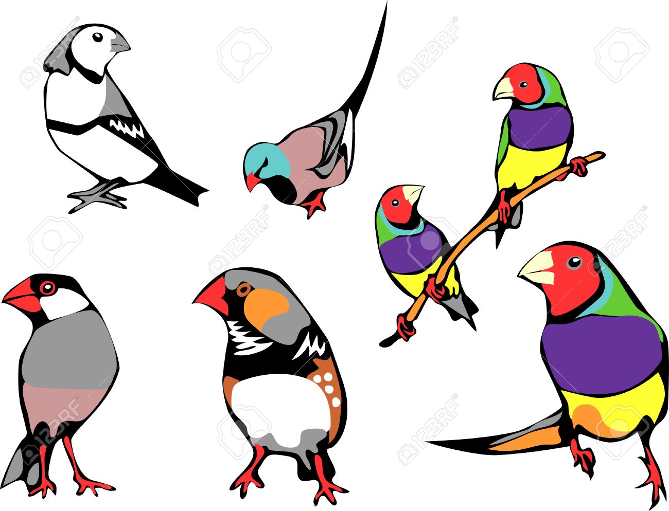 The Best Free Finch Clipart Images Download From 33 Free Cliparts Of