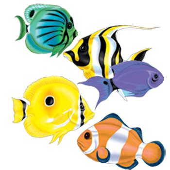 The Best Free Saltwater Clipart Images Download From 26 Free