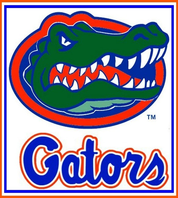 Florida Gators Clipart at GetDrawings  Free download