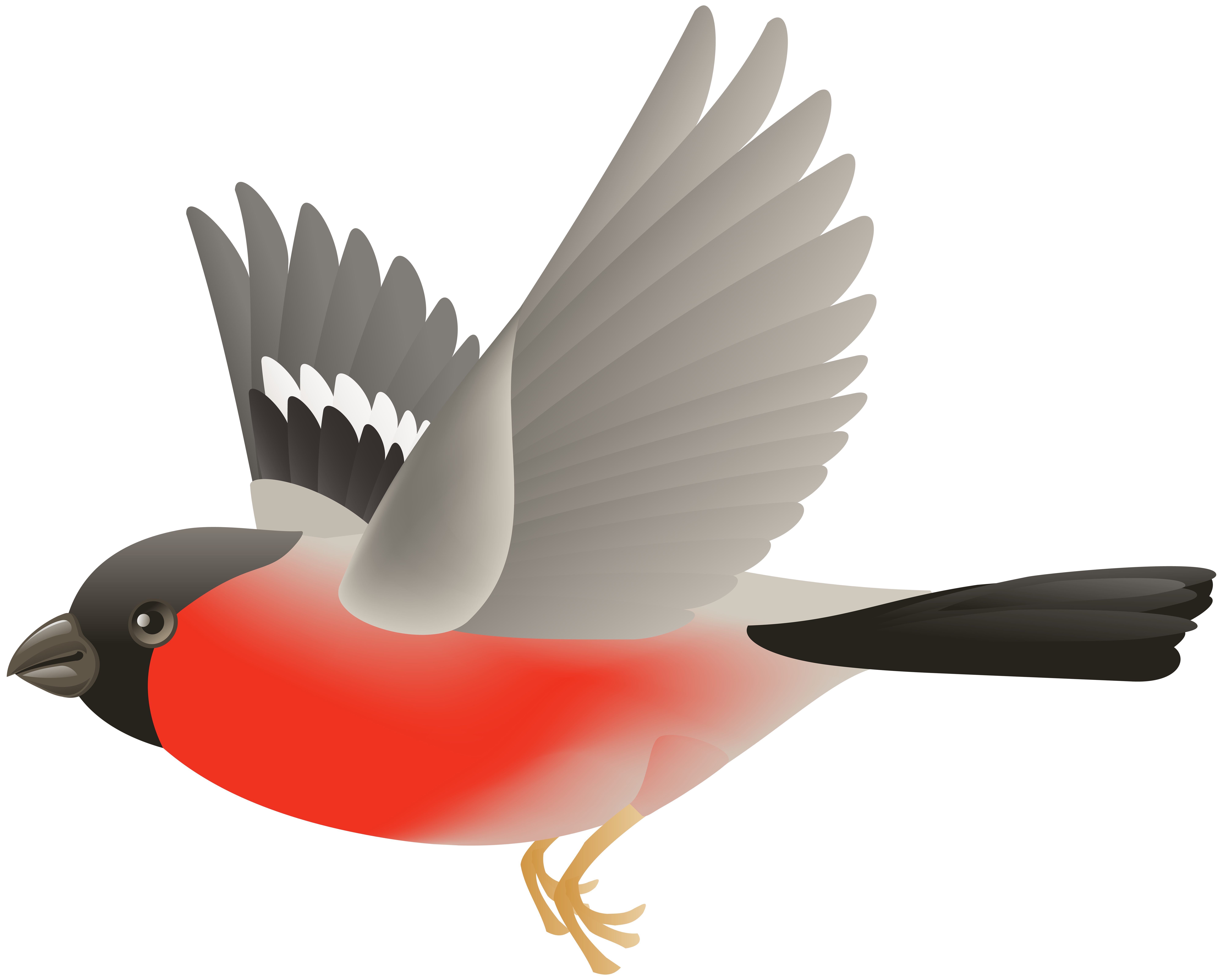 Flying Bird Clipart At Getdrawings Free Download