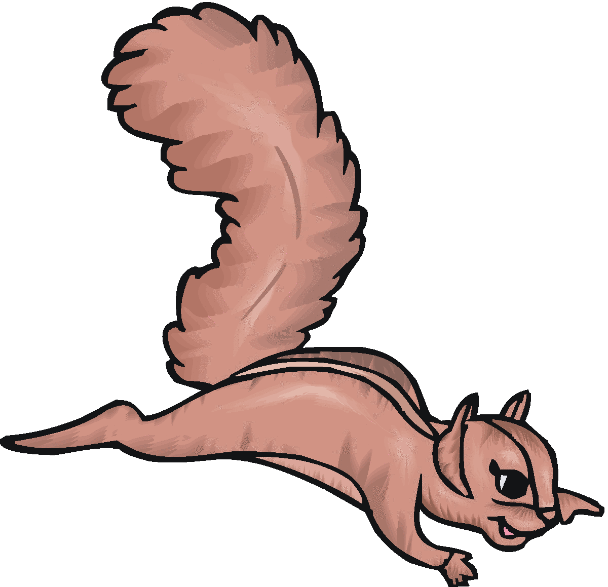 Flying Squirrel Clipart at GetDrawings Free download