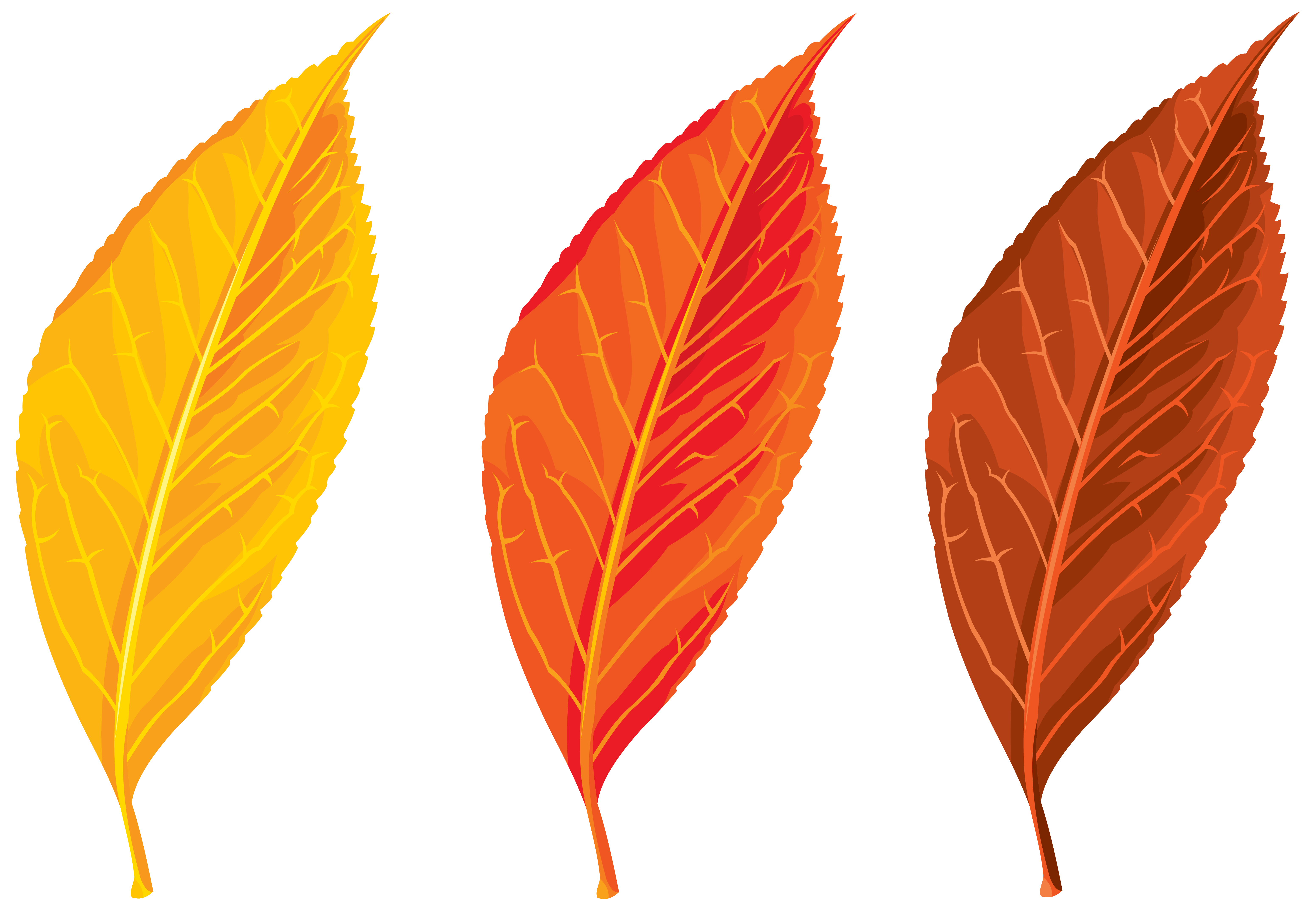 Free Clipart Fall Leaves at GetDrawings | Free download