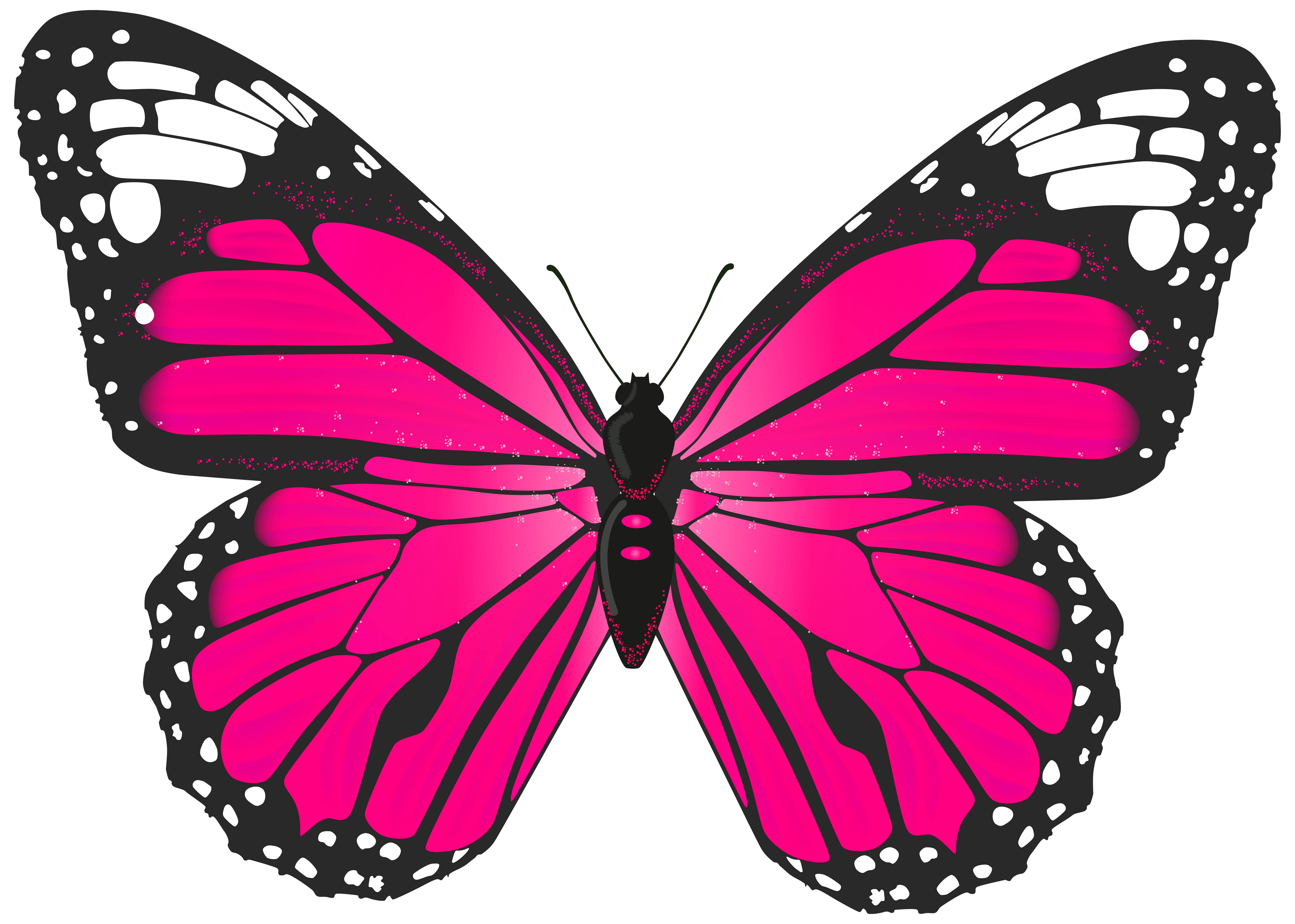 Free Printable Butterfly Clipart at GetDrawings Free download