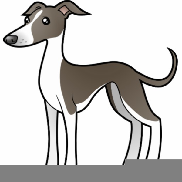 The best free Greyhound clipart images. Download from 56 free cliparts