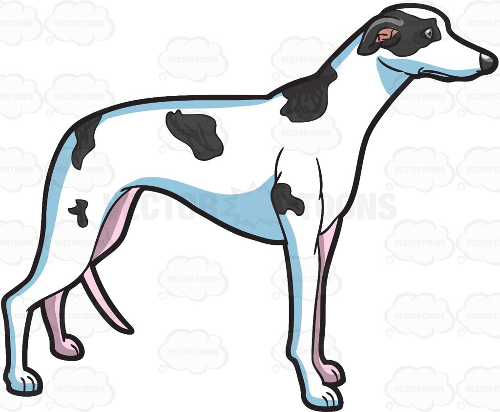 The best free Greyhound clipart images. Download from 56 free cliparts