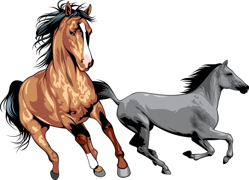 Horse Galloping Clipart at GetDrawings | Free download