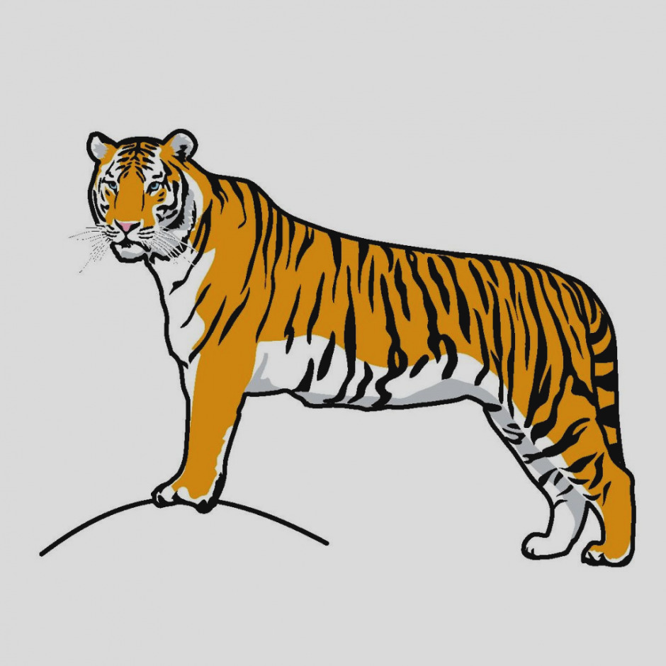 Jaguar Animal Clipart at GetDrawings | Free download
