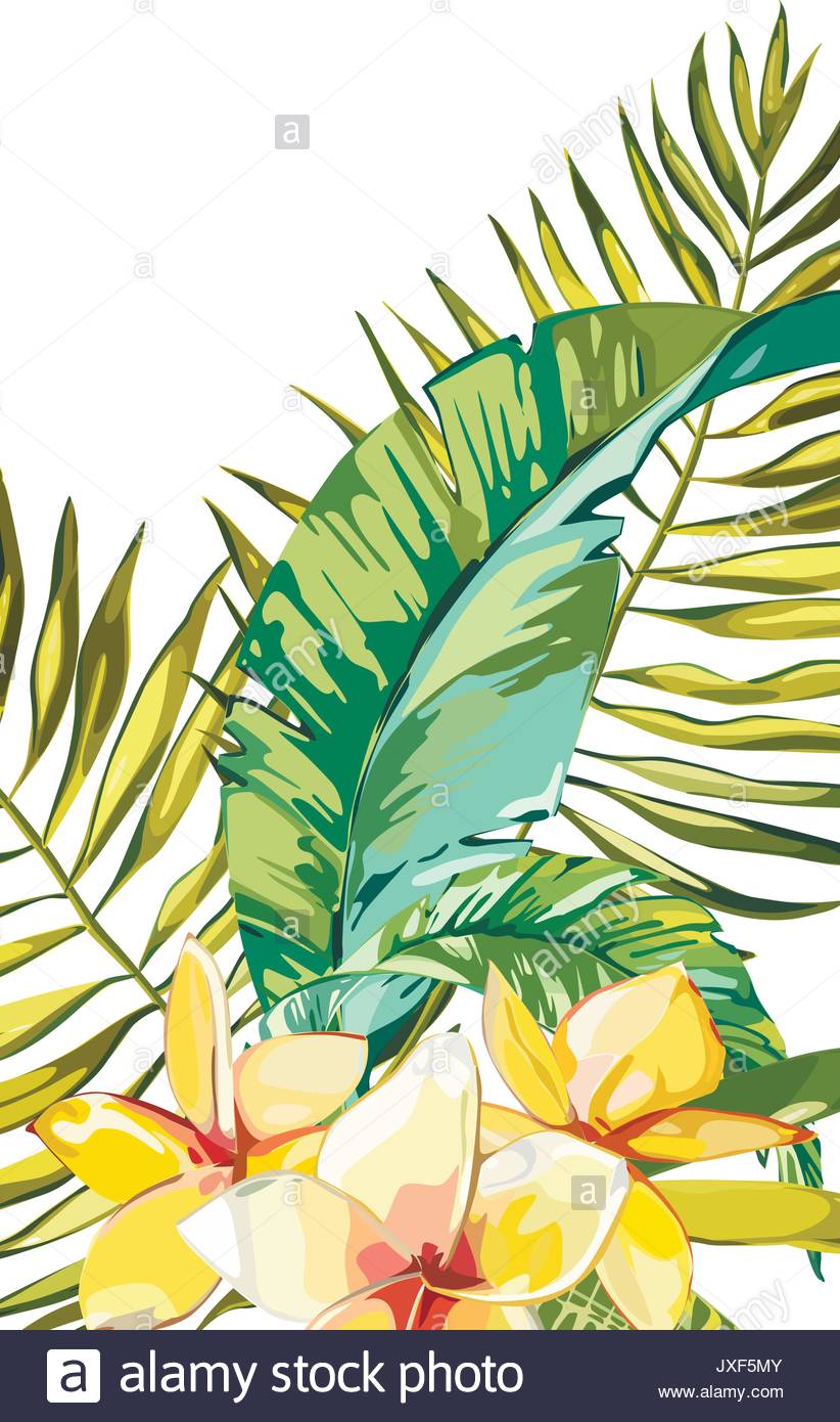 Jungle Plants Clipart at GetDrawings | Free download