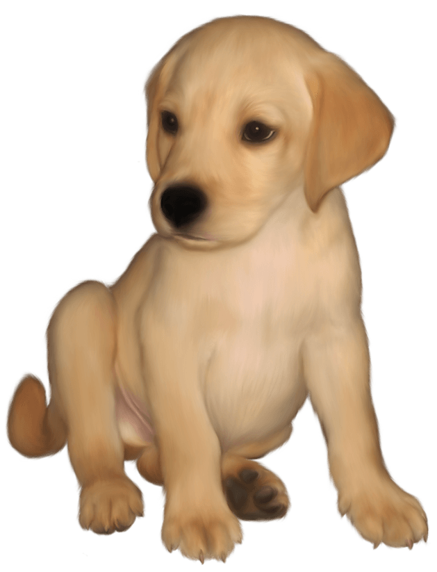 The best free Labrador clipart images. Download from 179 free cliparts of Labrador at GetDrawings