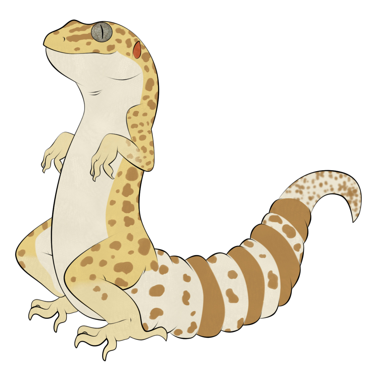 Leopard Gecko Clipart at GetDrawings | Free download