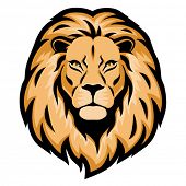 Simple Lion Head Drawing at GetDrawings | Free download