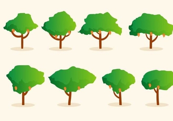 Mango Tree Clipart at GetDrawings | Free download