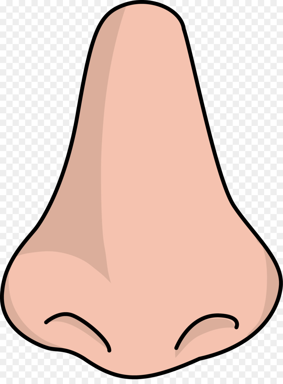 Nose Clipart at GetDrawings Free download