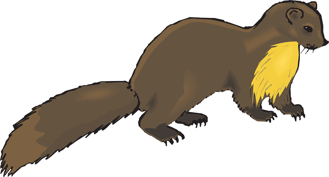 Otter Clipart at GetDrawings | Free download