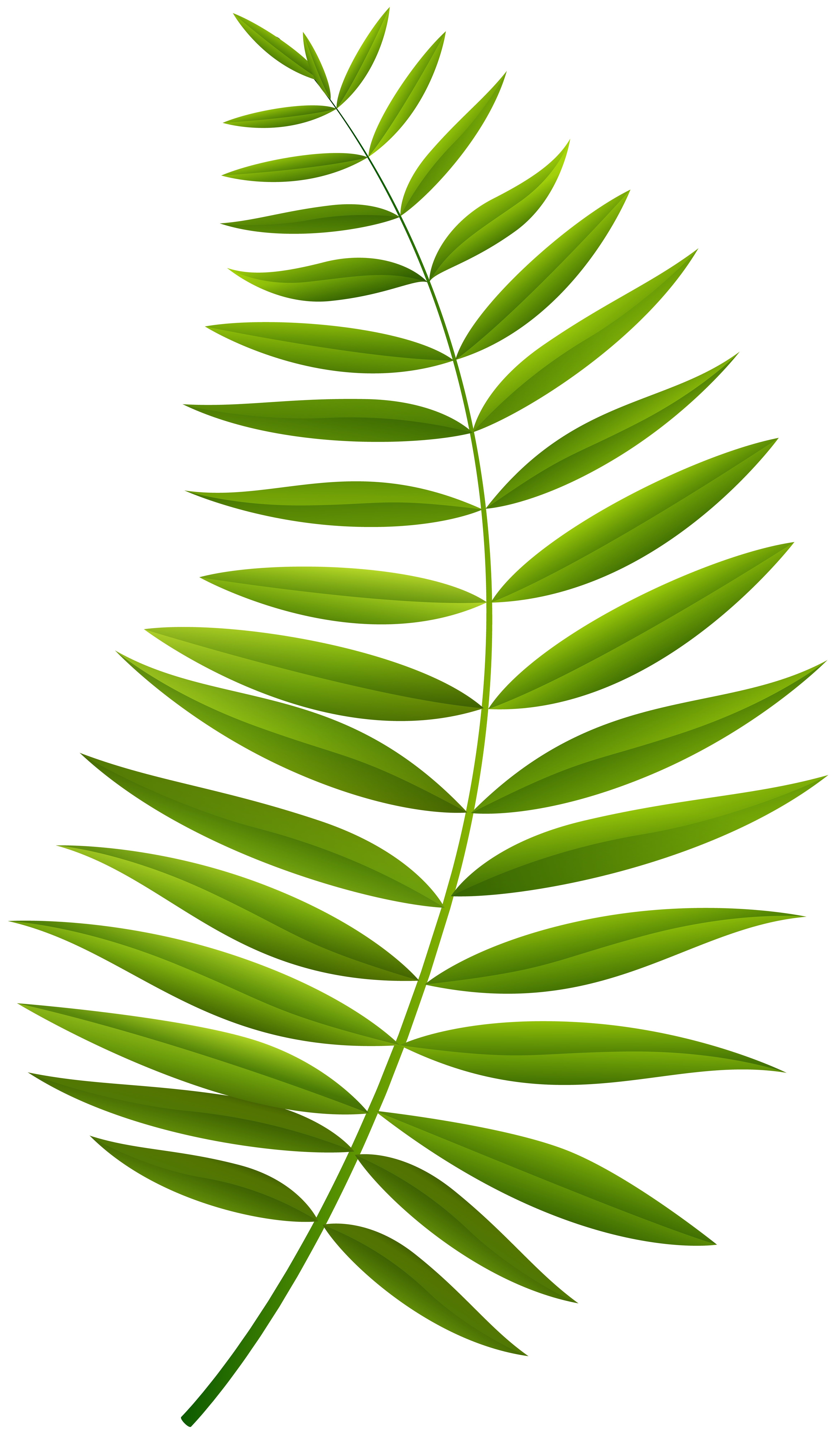 Palm Branch Clipart At Getdrawings Free Download 4405