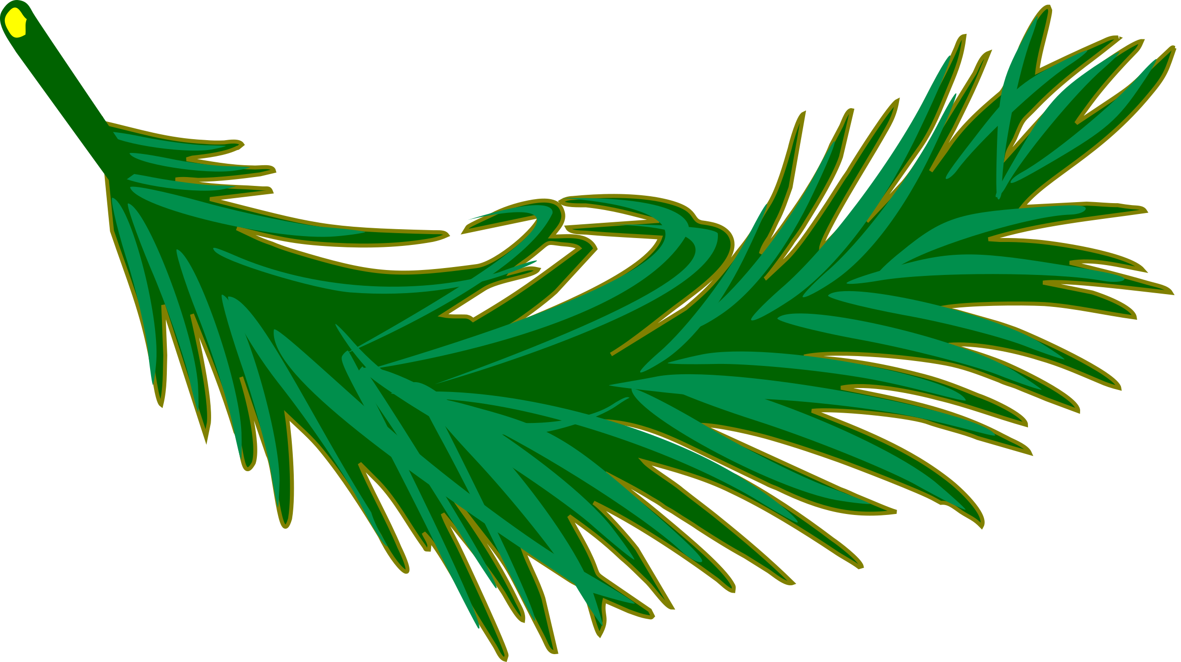 The best free Frond clipart images. Download from 5 free cliparts of