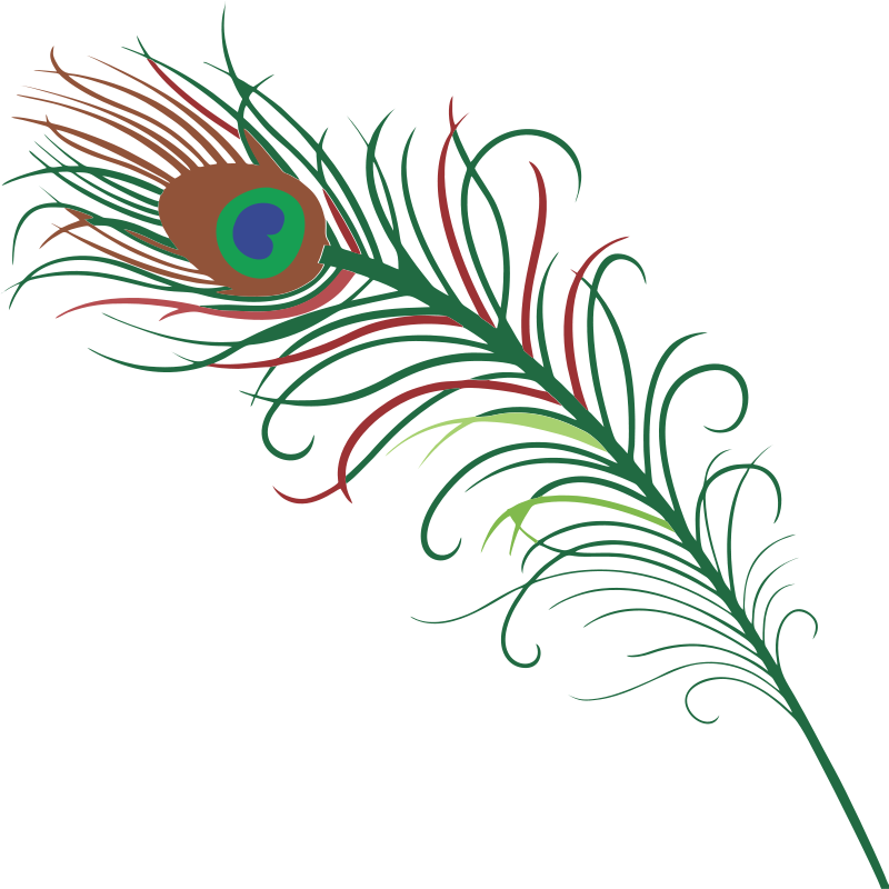 Peacock Feather Clipart at GetDrawings | Free download