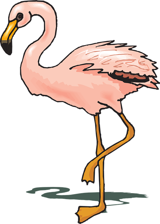 flying flamingo clipart