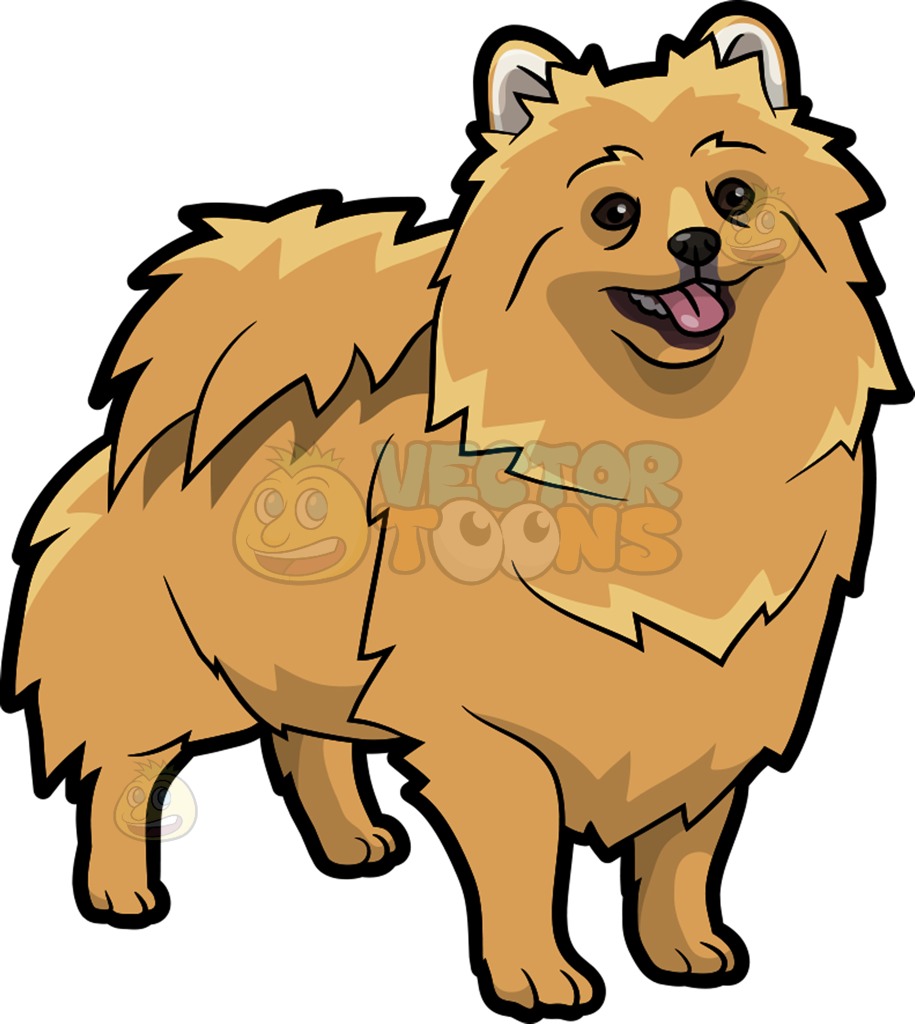 The best free Pomeranian clipart images. Download from 22 free cliparts