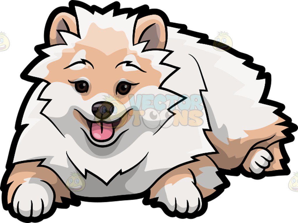 The best free Pomeranian clipart images. Download from 22 free cliparts