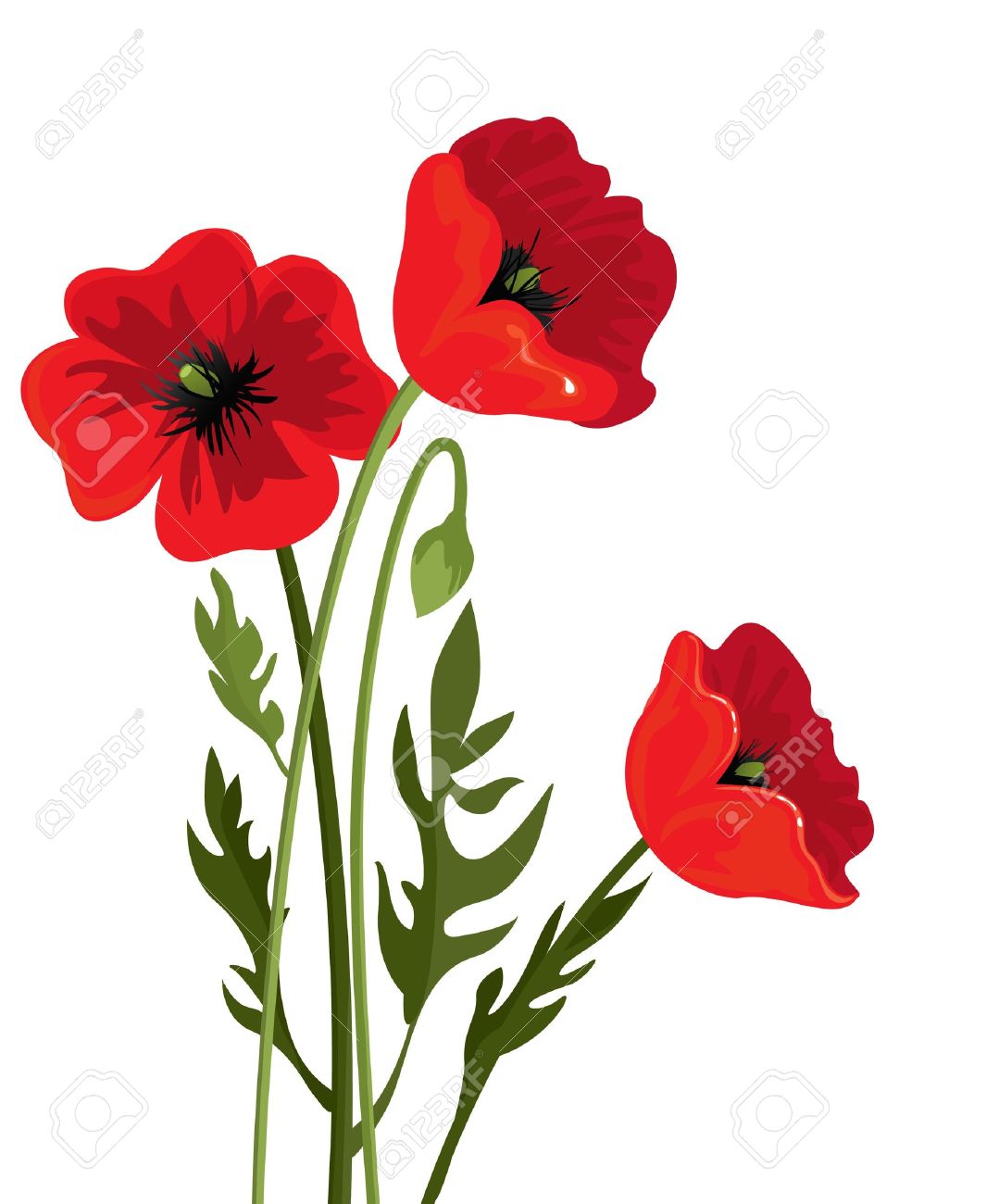 Poppy Clipart at GetDrawings | Free download