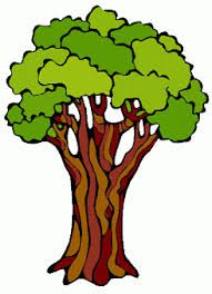 Rainforest Trees Clipart at GetDrawings | Free download