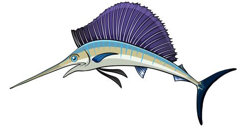 Sailfish Clipart at GetDrawings | Free download