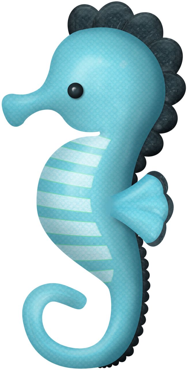 Seahorse Cartoon Drawing at GetDrawings Free download