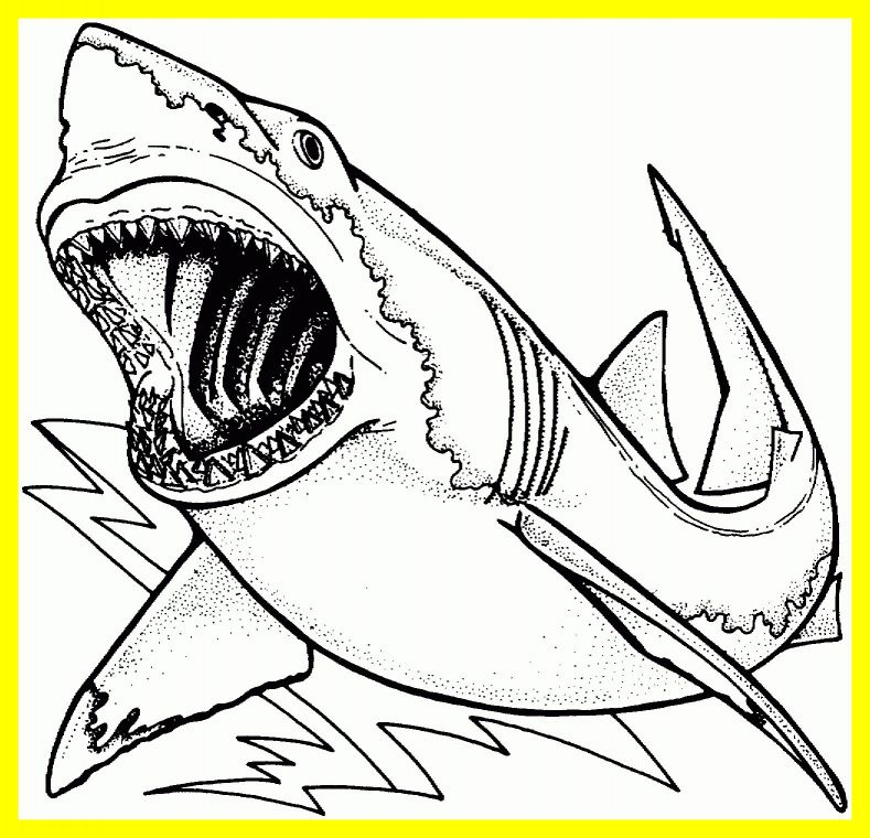 Megamouth Shark Coloring Page