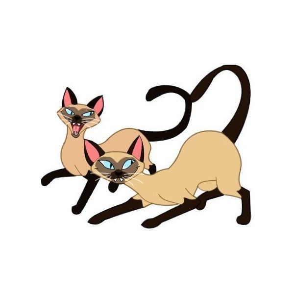 600x600 Siamese Cat Cartoon.